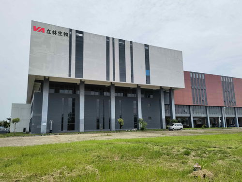 雙品牌戰略驅動，雙廠布局夯實根基 蓋夫內外貿并舉，技術開發引領全球化新篇章