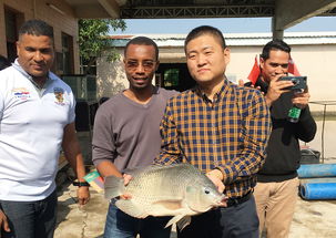 2019年海上絲綢之路國家水生動物健康管理及檢驗(yàn)檢疫研修班項(xiàng)目圓滿落幕，成果豐碩助力畜牧漁業(yè)飼料銷售市場拓展